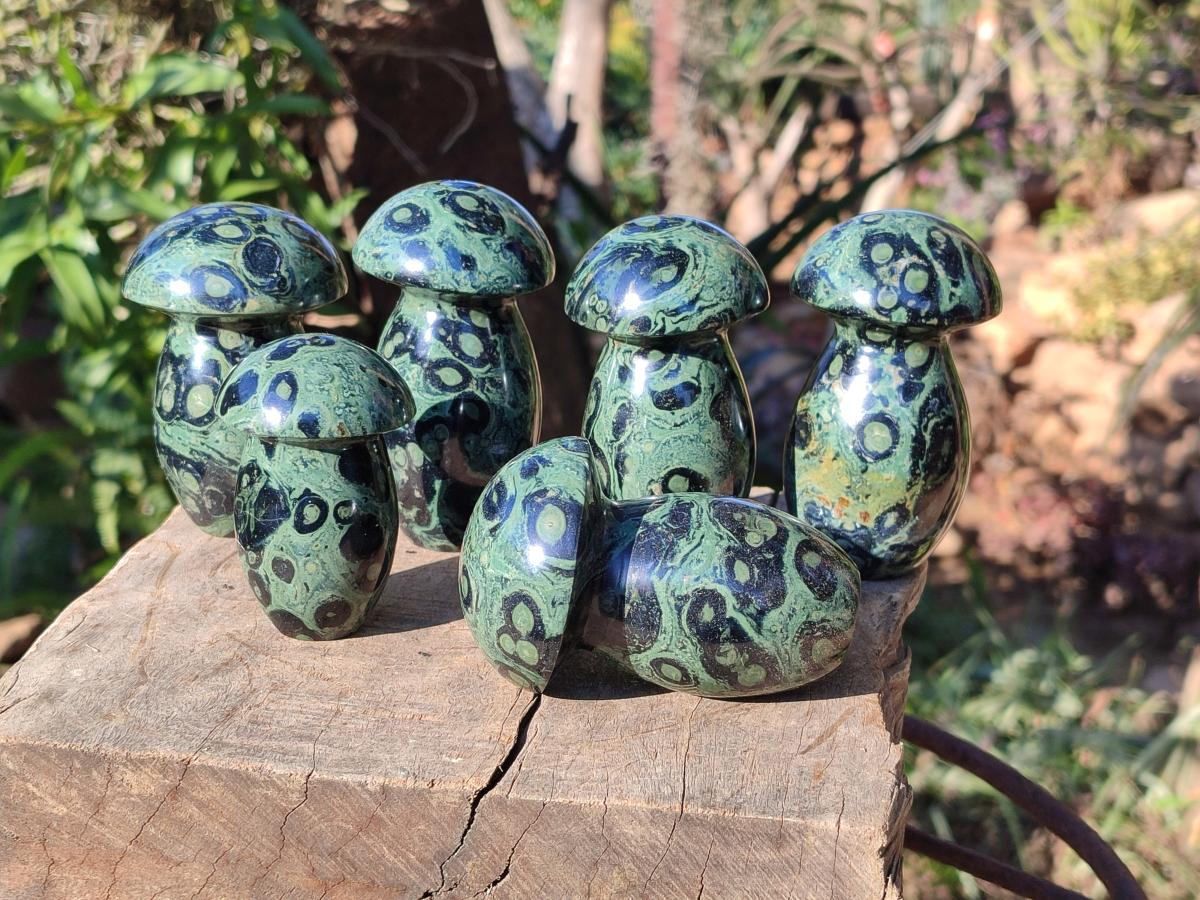 Polished Stromatolite "Kambamba Jasper" Mushrooms x 6 From Katsepy, Madagascar - Toprock Gemstones and Minerals 