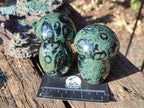 Polished Stromatolite "Kambamba Jasper" Mushrooms x 6 From Katsepy, Madagascar - Toprock Gemstones and Minerals 