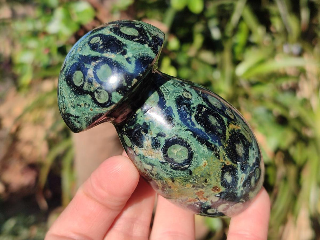 Polished Stromatolite "Kambamba Jasper" Mushrooms x 6 From Katsepy, Madagascar - Toprock Gemstones and Minerals 