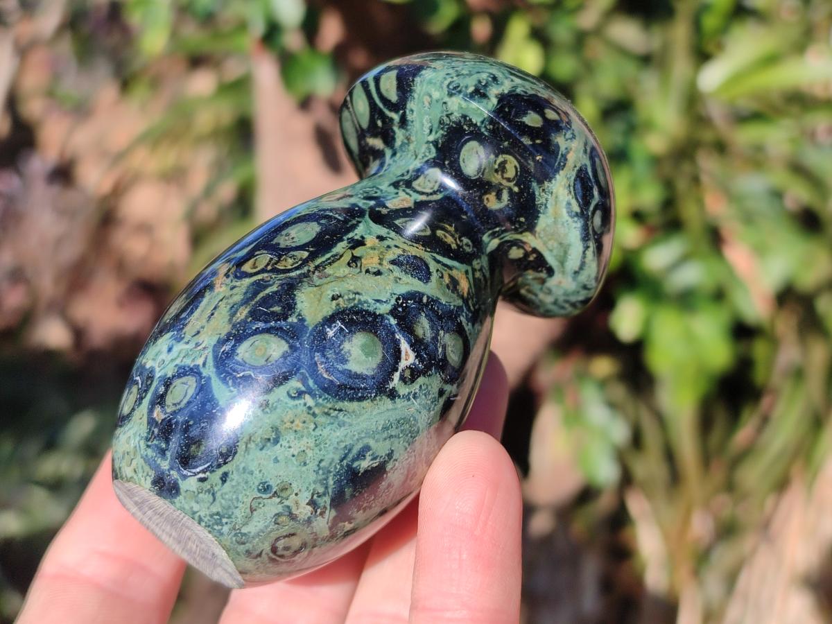 Polished Stromatolite "Kambamba Jasper" Mushrooms x 6 From Katsepy, Madagascar - Toprock Gemstones and Minerals 
