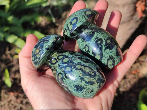 Polished Stromatolite "Kambamba Jasper" Mushrooms x 6 From Katsepy, Madagascar - Toprock Gemstones and Minerals 