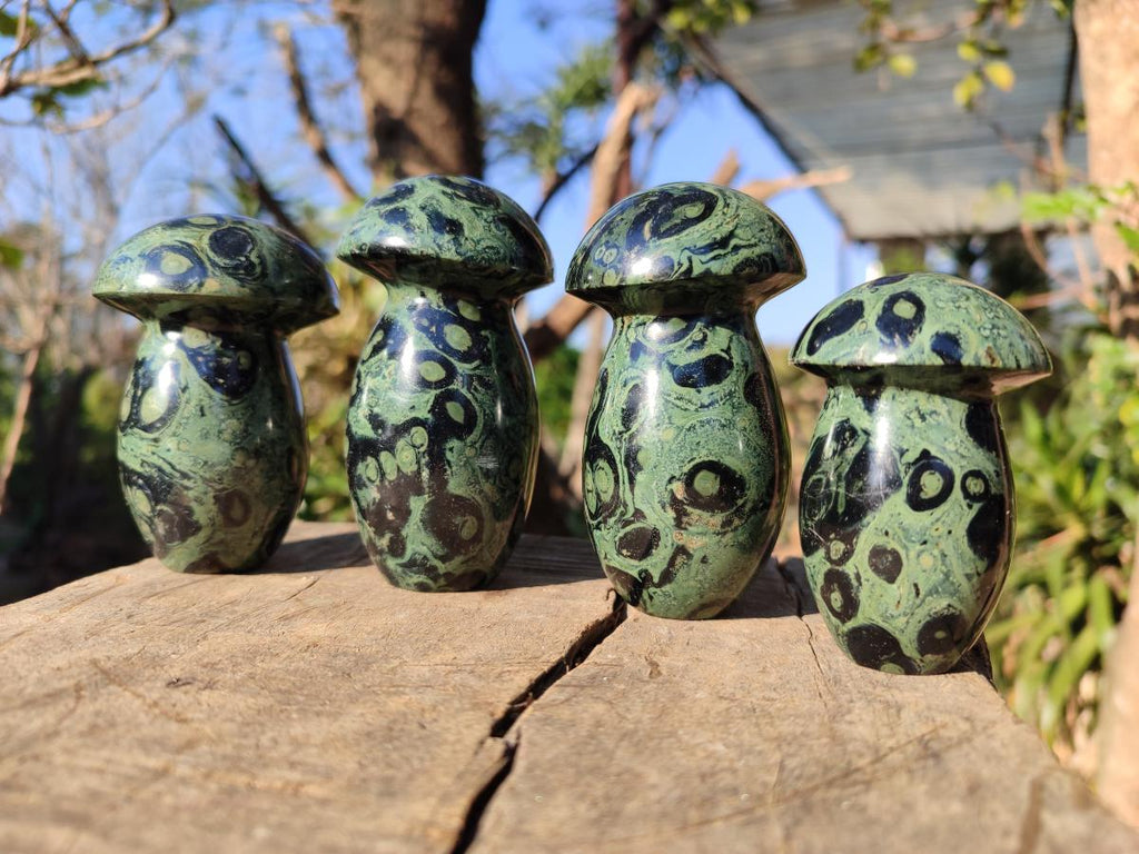 Polished Stromatolite "Kambamba Jasper" Mushrooms x 6 From Katsepy, Madagascar - Toprock Gemstones and Minerals 