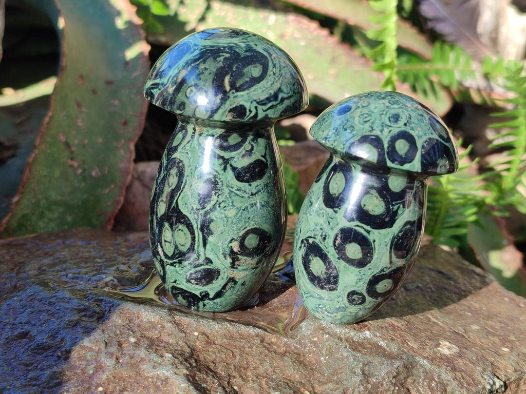 Polished Stromatolite "Kambamba Jasper" Mushrooms x 6 From Katsepy, Madagascar - Toprock Gemstones and Minerals 
