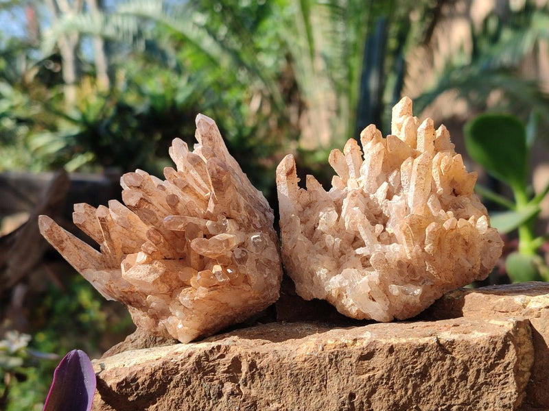 Natural Malagasy Quartz Clusters x 12 From Madagascar - Toprock Gemstones and Minerals 
