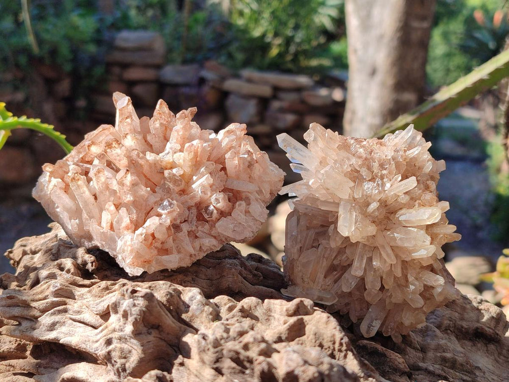Natural Malagasy Quartz Clusters x 12 From Madagascar - Toprock Gemstones and Minerals 