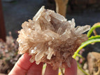 Natural Malagasy Quartz Clusters x 12 From Madagascar - Toprock Gemstones and Minerals 