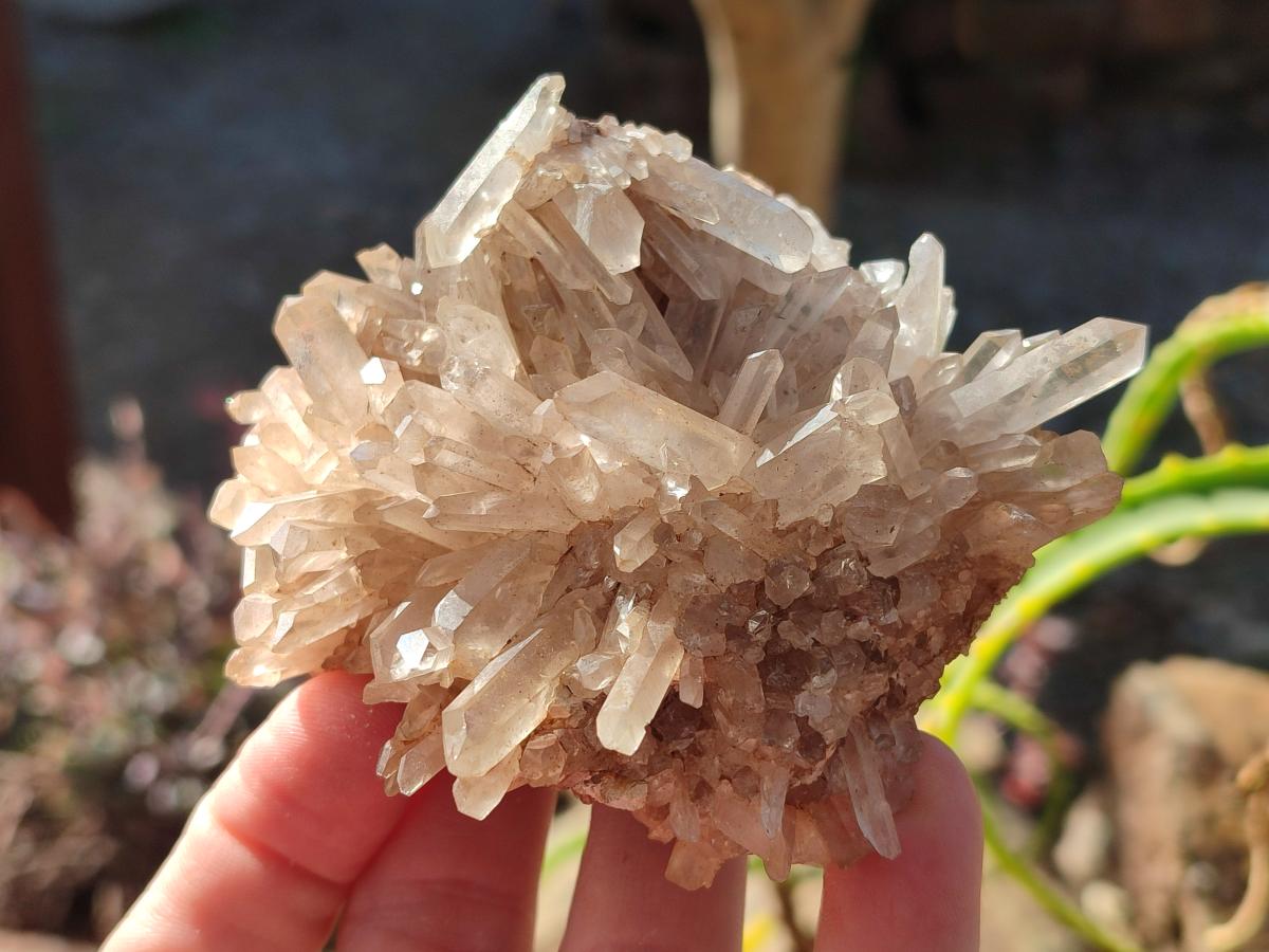 Natural Malagasy Quartz Clusters x 12 From Madagascar - Toprock Gemstones and Minerals 