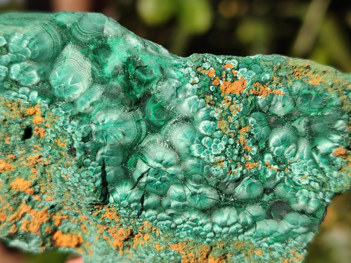 Natural Botryoidal Malachite Specimens x 12 From Congo - Toprock Gemstones and Minerals 