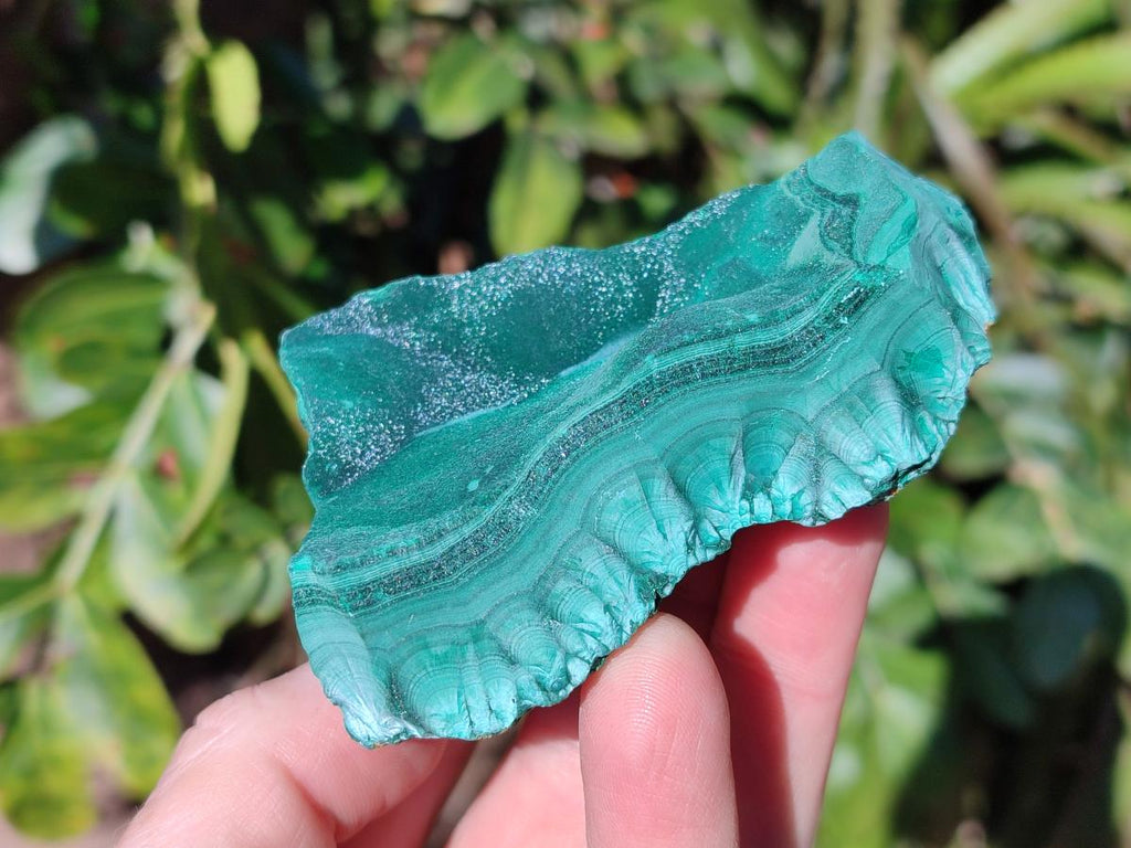 Natural Botryoidal Malachite Specimens x 12 From Congo - Toprock Gemstones and Minerals 