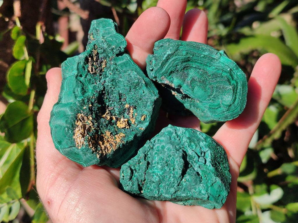 Natural Botryoidal Malachite Specimens x 12 From Congo - Toprock Gemstones and Minerals 