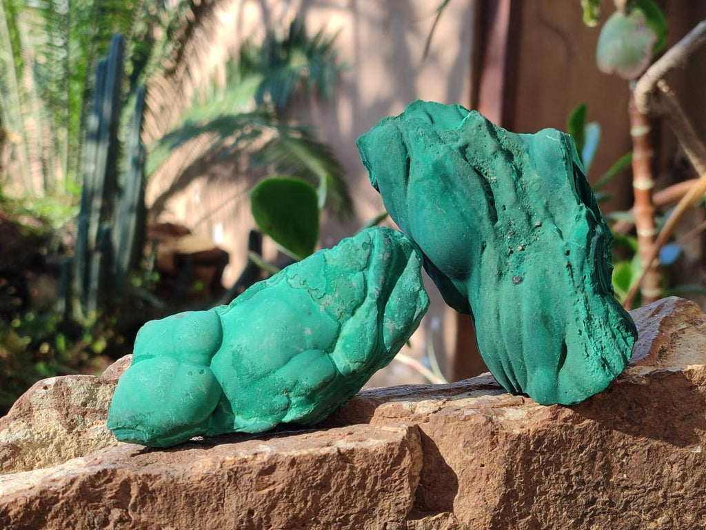 Natural Botryoidal Malachite Specimens x 12 From Congo - Toprock Gemstones and Minerals 