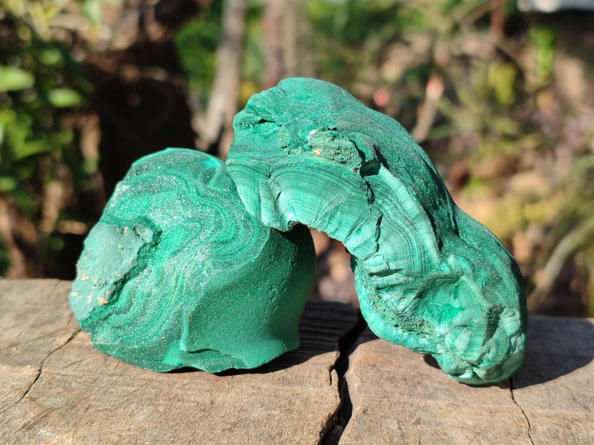 Natural Botryoidal Malachite Specimens x 12 From Congo - Toprock Gemstones and Minerals 