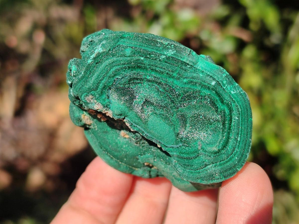 Natural Botryoidal Malachite Specimens x 12 From Congo - Toprock Gemstones and Minerals 
