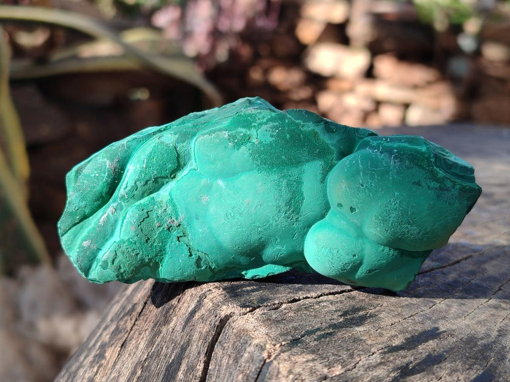 Natural Botryoidal Malachite Specimens x 12 From Congo - Toprock Gemstones and Minerals 