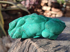 Natural Botryoidal Malachite Specimens x 12 From Congo - Toprock Gemstones and Minerals 