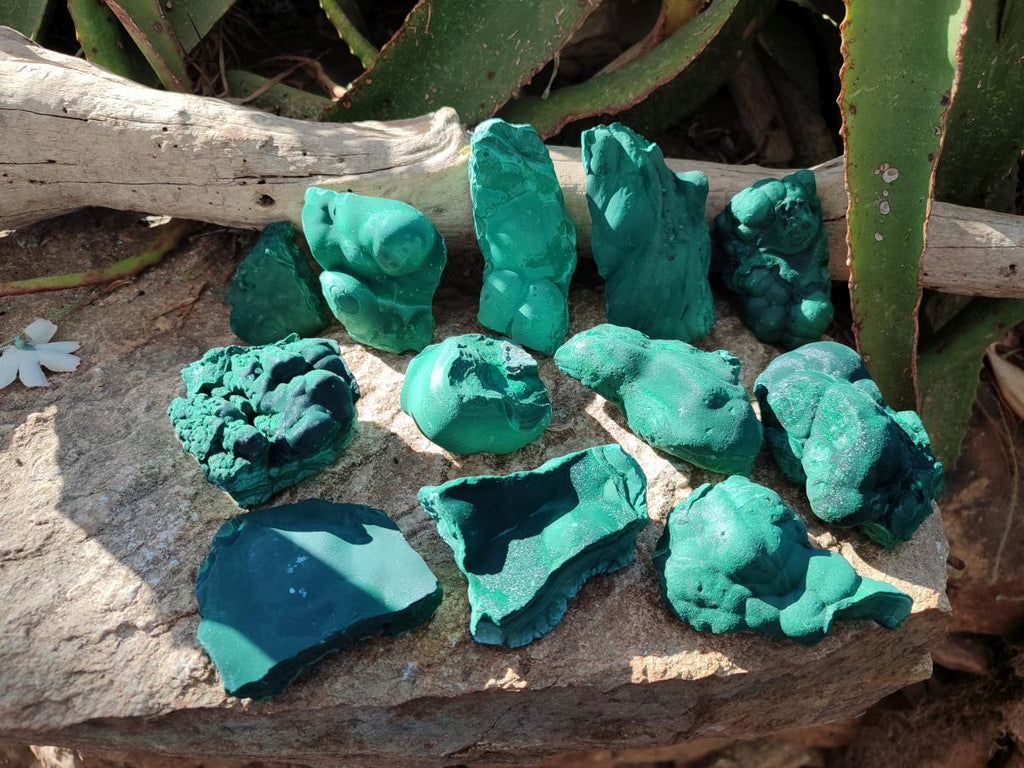 Natural Botryoidal Malachite Specimens x 12 From Congo - Toprock Gemstones and Minerals 