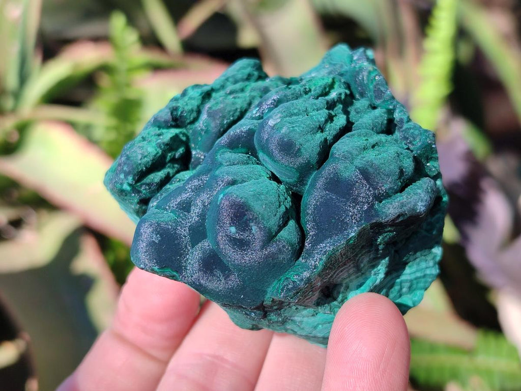 Natural Botryoidal Malachite Specimens x 12 From Congo - Toprock Gemstones and Minerals 