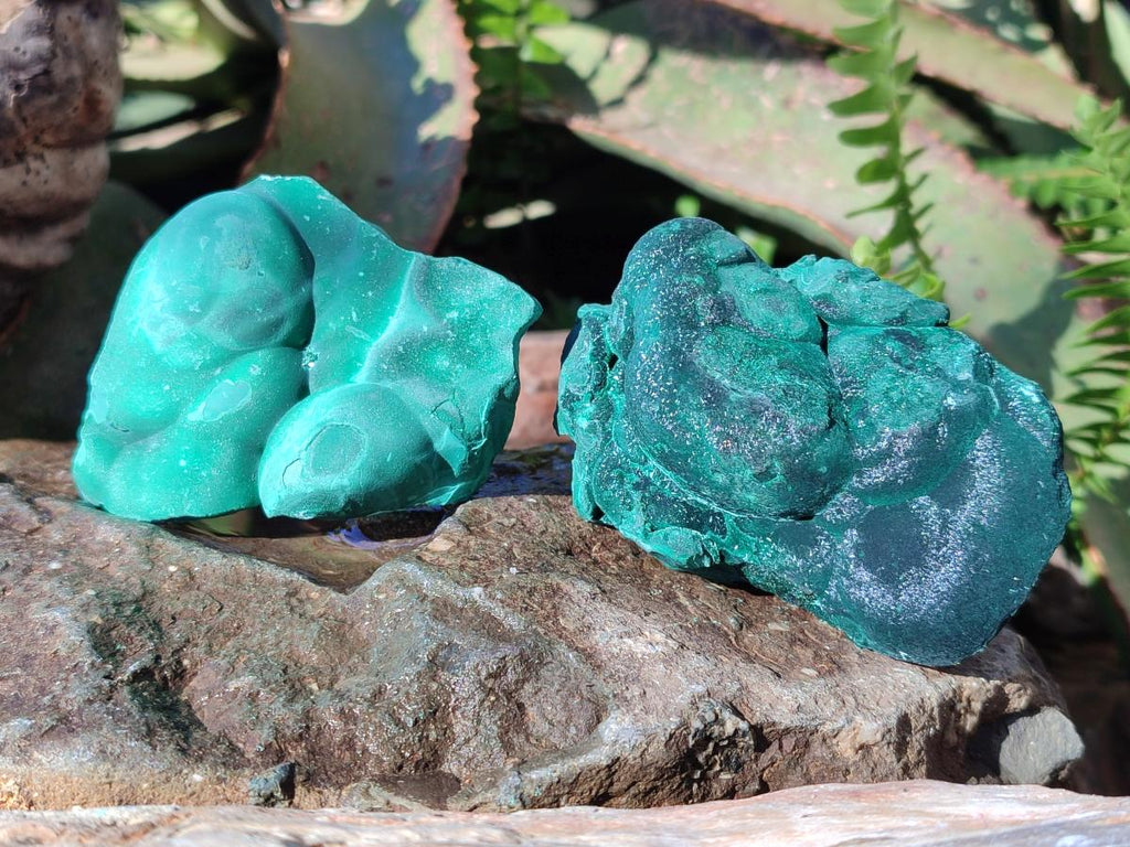 Natural Botryoidal Malachite Specimens x 12 From Congo - Toprock Gemstones and Minerals 