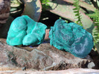 Natural Botryoidal Malachite Specimens x 12 From Congo - Toprock Gemstones and Minerals 