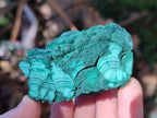 Natural Botryoidal Malachite Specimens x 12 From Congo - Toprock Gemstones and Minerals 