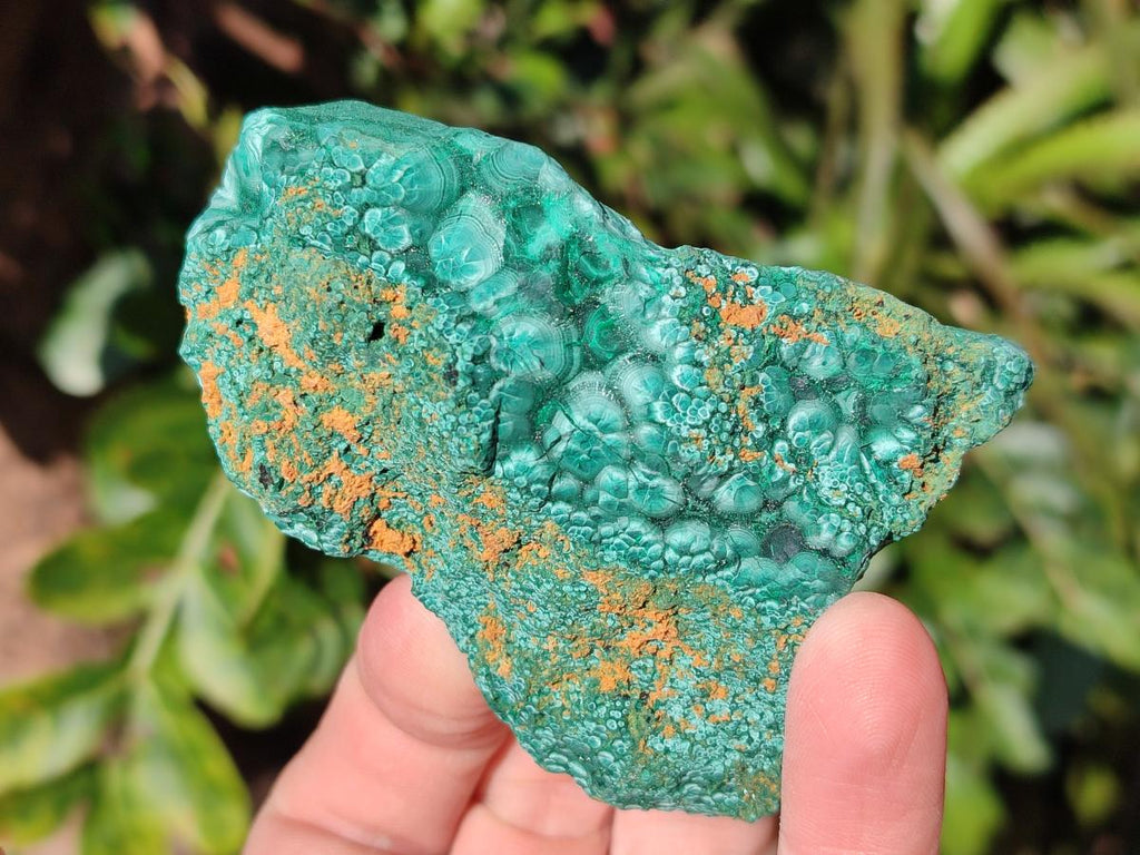Natural Botryoidal Malachite Specimens x 12 From Congo - Toprock Gemstones and Minerals 