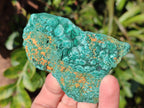 Natural Botryoidal Malachite Specimens x 12 From Congo - Toprock Gemstones and Minerals 
