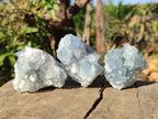Natural Mini Blue Celestite Specimens x 48 From Sakoany, Madagascar - Toprock Gemstones and Minerals 