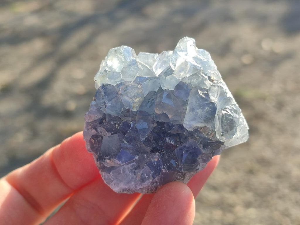 Natural Mini Blue Celestite Specimens x 48 From Sakoany, Madagascar - Toprock Gemstones and Minerals 