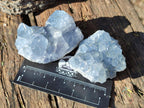 Natural Mini Blue Celestite Specimens x 48 From Sakoany, Madagascar - Toprock Gemstones and Minerals 