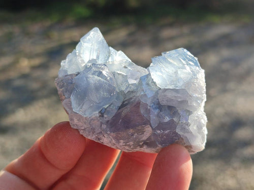Natural Mini Blue Celestite Specimens x 48 From Sakoany, Madagascar - Toprock Gemstones and Minerals 