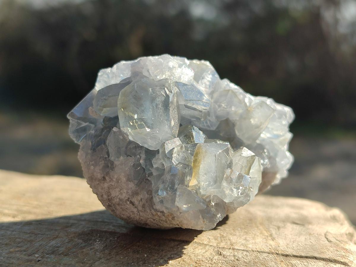 Natural Mini Blue Celestite Specimens x 48 From Sakoany, Madagascar - Toprock Gemstones and Minerals 