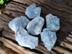Natural Mini Blue Celestite Specimens x 48 From Sakoany, Madagascar - Toprock Gemstones and Minerals 