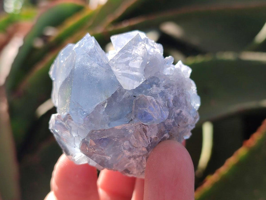 Natural Mini Blue Celestite Specimens x 48 From Sakoany, Madagascar - Toprock Gemstones and Minerals 