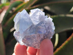 Natural Mini Blue Celestite Specimens x 48 From Sakoany, Madagascar - Toprock Gemstones and Minerals 
