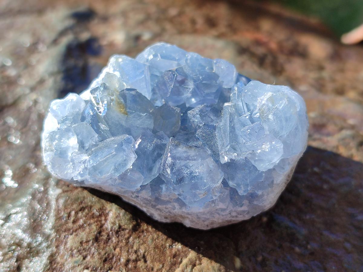 Natural Mini Blue Celestite Specimens x 48 From Sakoany, Madagascar - Toprock Gemstones and Minerals 