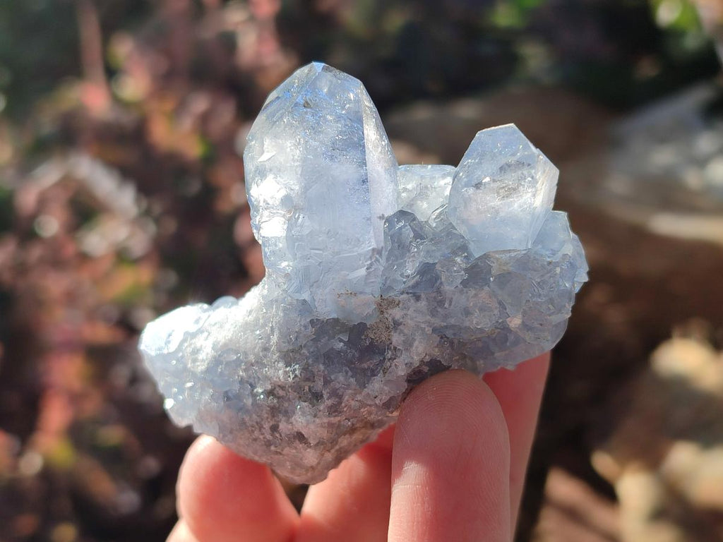 Natural Mini Blue Celestite Specimens x 48 From Sakoany, Madagascar - Toprock Gemstones and Minerals 