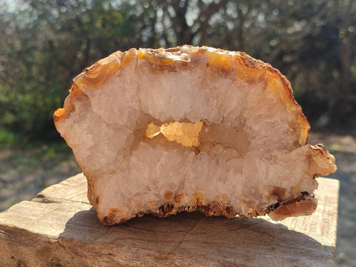 Natural Crystalline Agate Geodes x 2 From Maintirano, Madagascar - Toprock Gemstones and Minerals 