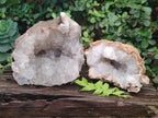 Natural Crystalline Agate Geodes x 2 From Maintirano, Madagascar - Toprock Gemstones and Minerals 