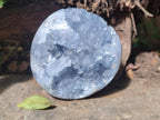 Polished and Natural Blue Celestite Free Forms x 6 From Sakoany, Madagascar - Toprock Gemstones and Minerals 