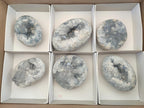 Polished and Natural Blue Celestite Free Forms x 6 From Sakoany, Madagascar - Toprock Gemstones and Minerals 