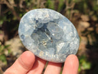Polished and Natural Blue Celestite Free Forms x 6 From Sakoany, Madagascar - Toprock Gemstones and Minerals 