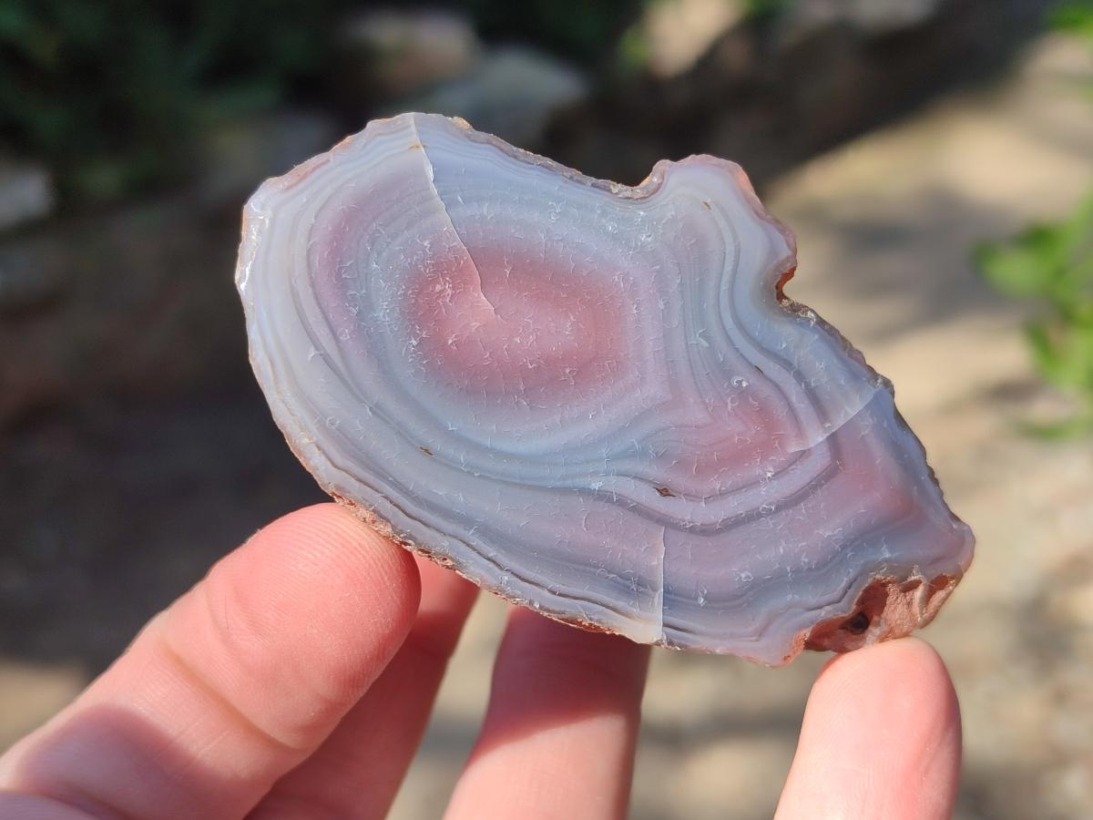 Polished One Side Red Shashe River Agate Nodules x 12 From Shashe River, Zimbabwe - Toprock Gemstones and Minerals 