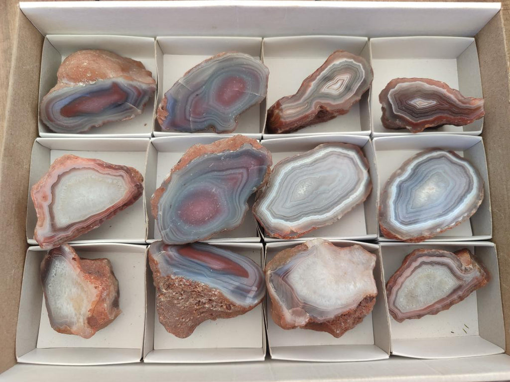 Polished One Side Red Shashe River Agate Nodules x 12 From Shashe River, Zimbabwe - Toprock Gemstones and Minerals 