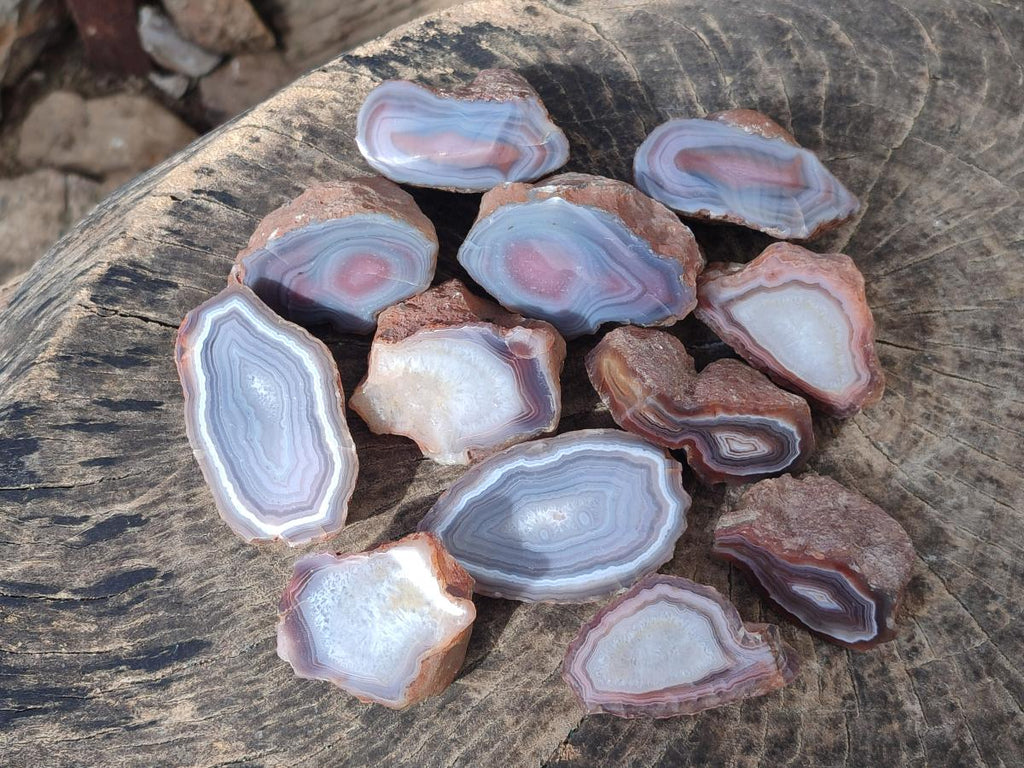 Polished One Side Red Shashe River Agate Nodules x 12 From Shashe River, Zimbabwe - Toprock Gemstones and Minerals 