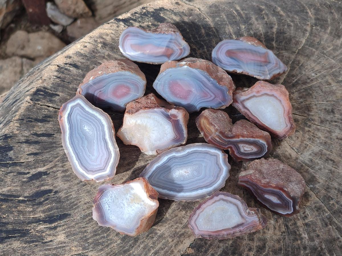 Polished One Side Red Shashe River Agate Nodules x 12 From Shashe River, Zimbabwe - Toprock Gemstones and Minerals 
