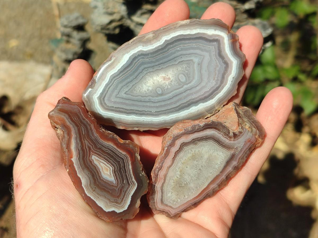 Polished One Side Red Shashe River Agate Nodules x 12 From Shashe River, Zimbabwe - Toprock Gemstones and Minerals 
