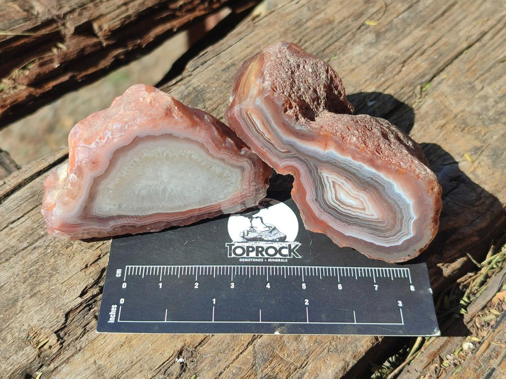 Polished One Side Red Shashe River Agate Nodules x 12 From Shashe River, Zimbabwe - Toprock Gemstones and Minerals 
