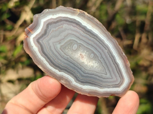 Polished One Side Red Shashe River Agate Nodules x 12 From Shashe River, Zimbabwe - Toprock Gemstones and Minerals 