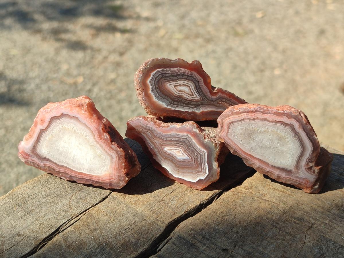 Polished One Side Red Shashe River Agate Nodules x 12 From Shashe River, Zimbabwe - Toprock Gemstones and Minerals 