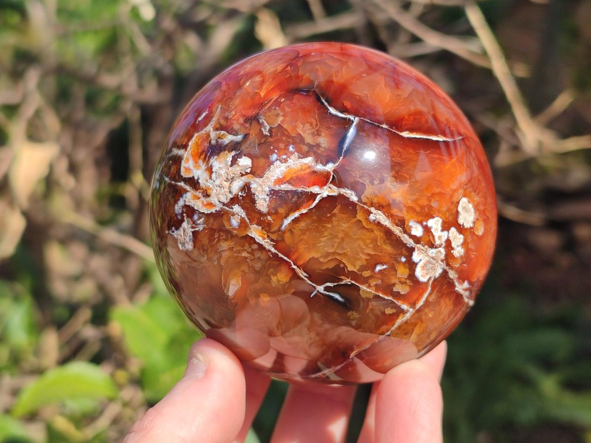 Polished Carnelian Agate Gemstone Spheres x 2 From Madagascar - Toprock Gemstones and Minerals 